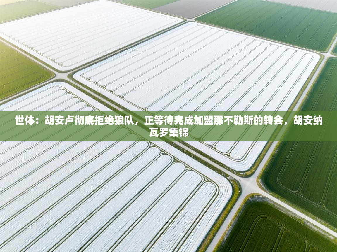 世体：胡安卢彻底拒绝狼队，正等待完成加盟那不勒斯的转会，胡安纳瓦罗集锦