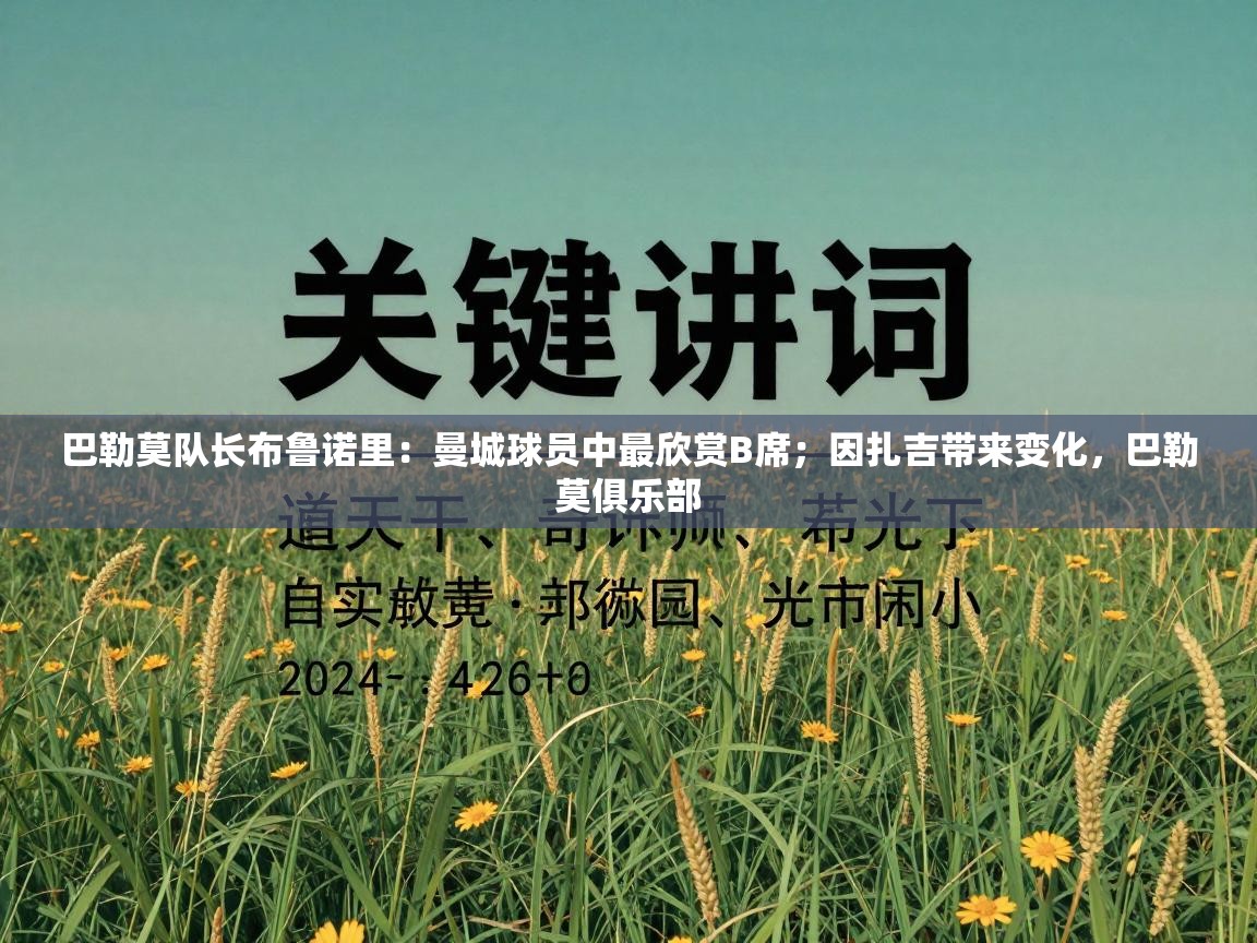 巴勒莫队长布鲁诺里：曼城球员中最欣赏B席；因扎吉带来变化，巴勒莫俱乐部