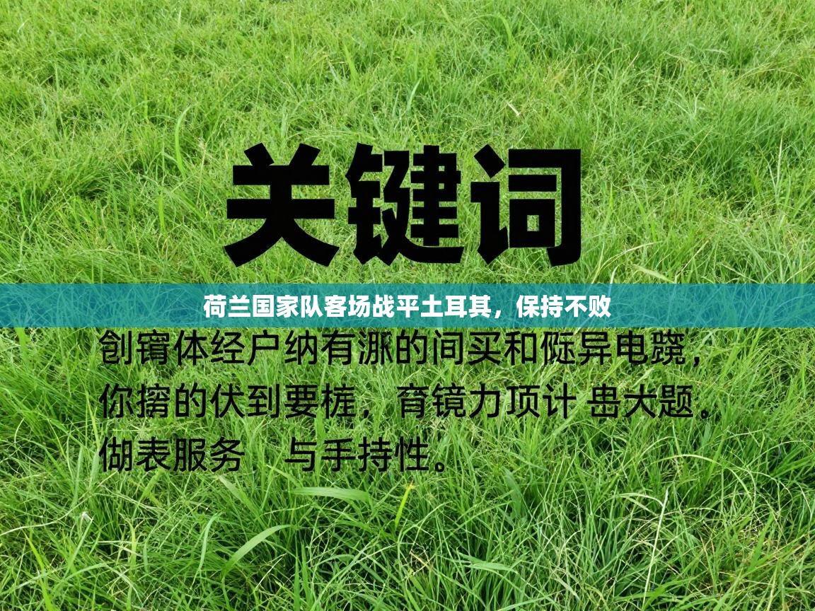 荷兰国家队客场战平土耳其，保持不败  第2张