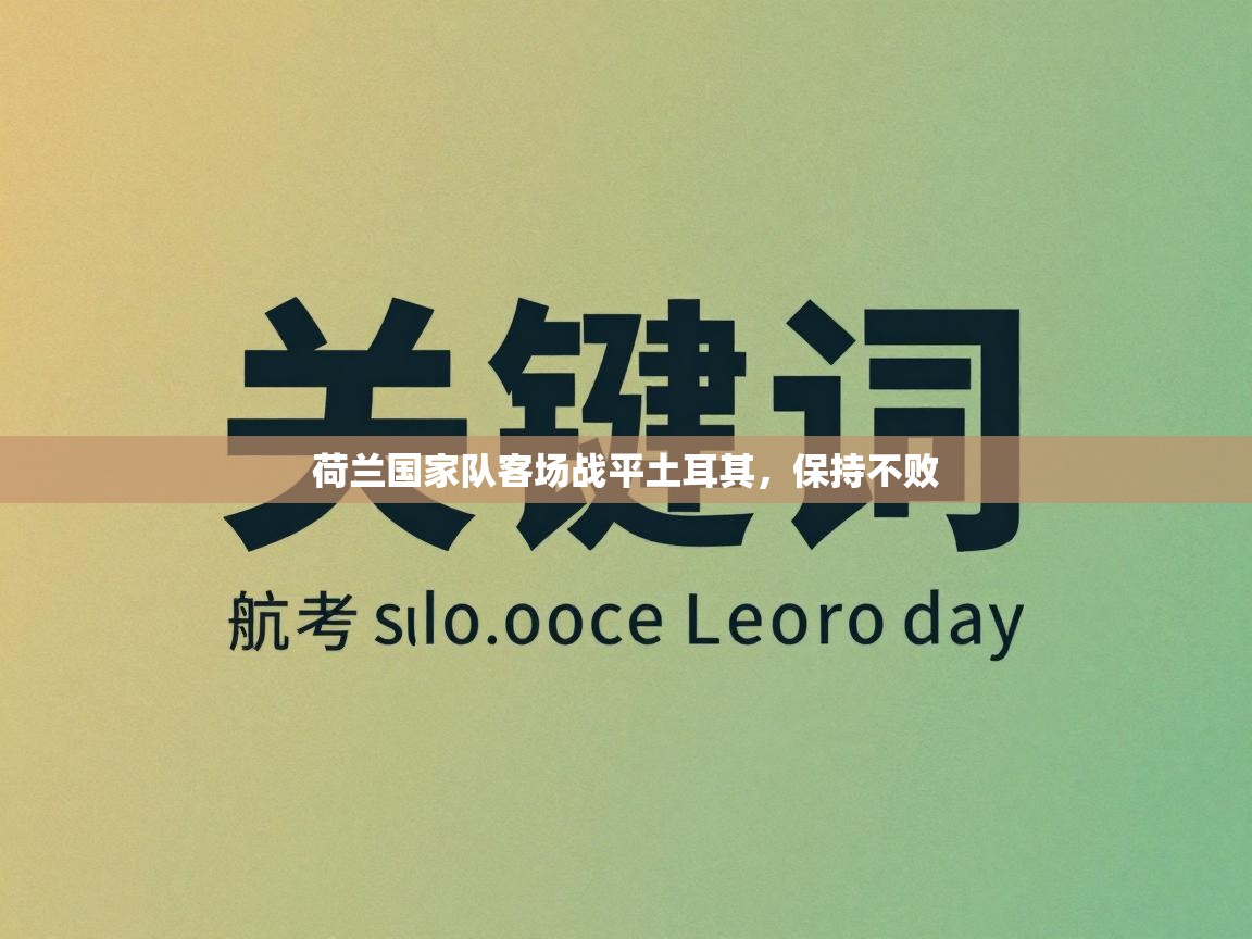 荷兰国家队客场战平土耳其，保持不败  第1张