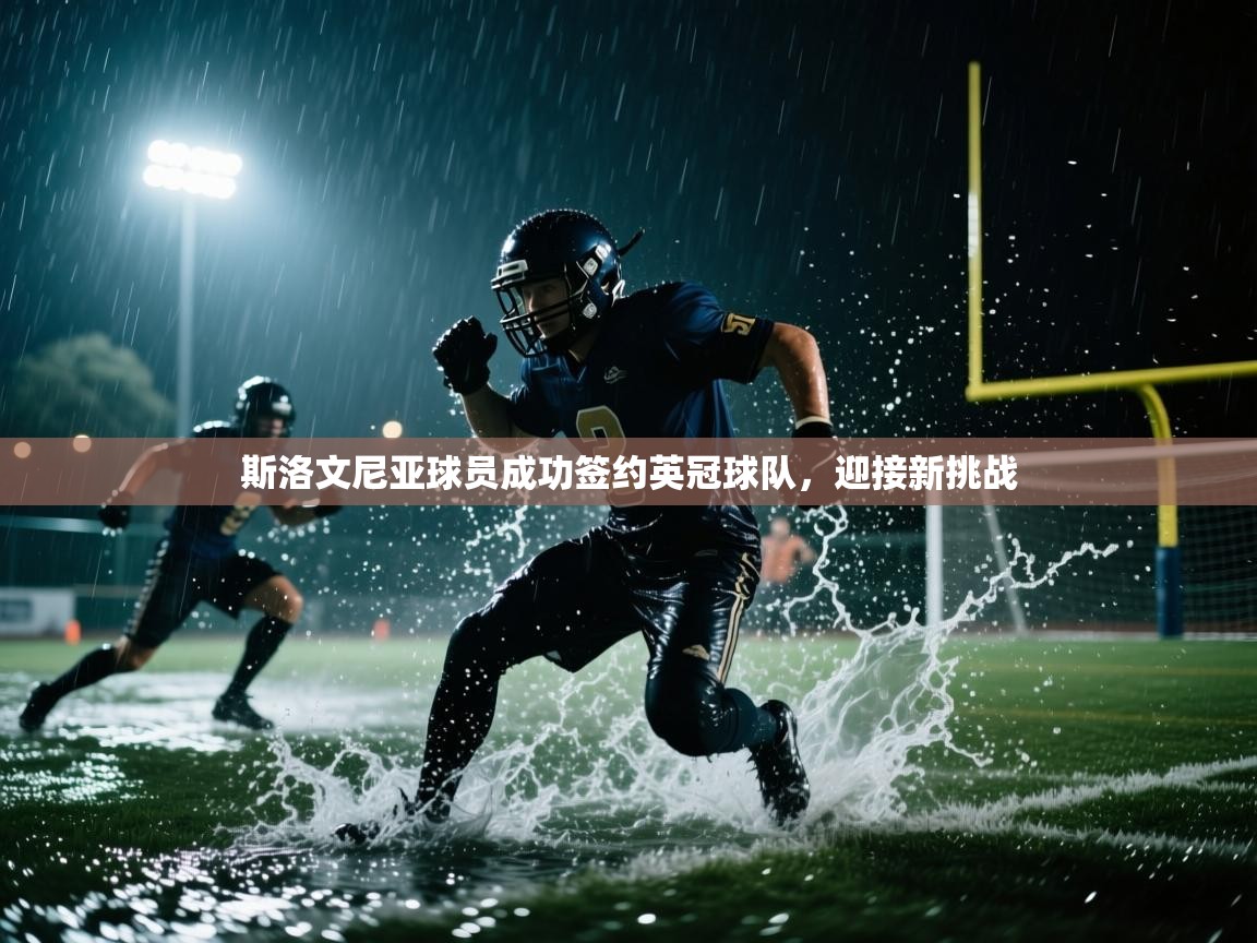 斯洛文尼亚球员成功签约英冠球队，迎接新挑战
