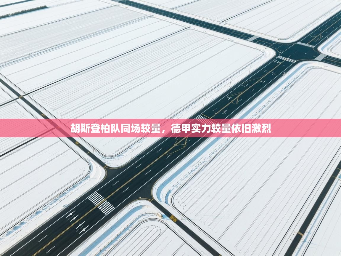 胡斯登柏队同场较量，德甲实力较量依旧激烈  第2张